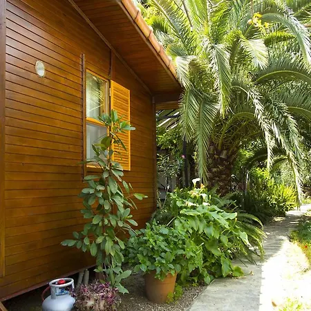 Guest house Dostlar