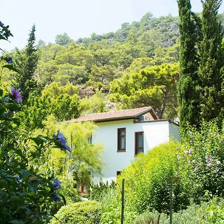 Guest house Dostlar Tekirova